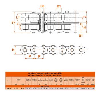Le modèle de Chaine à rouleau double en acier (standard) en rouleau de 5 mètres norme ISO 40B2 - CH40B2-5MT