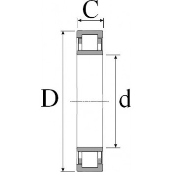 Le modèle de Roulement rigide 1 rangée de rouleaux FAG ref NU309-ETVP2-C3 - 45x100x25 - NU309-E-TVP2-C3-FAG