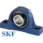 Palier à semelle SKF + roulement serrage vis pointeaux ref SY15TF