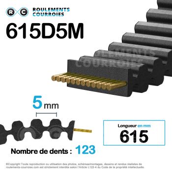 Le modèle de Courroie HTD double denture ref 615D5M25 - 615-D5M25