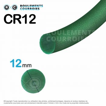 Le modèle de Courroie ronde thermosoudable ref CR12 - CR12-VERT